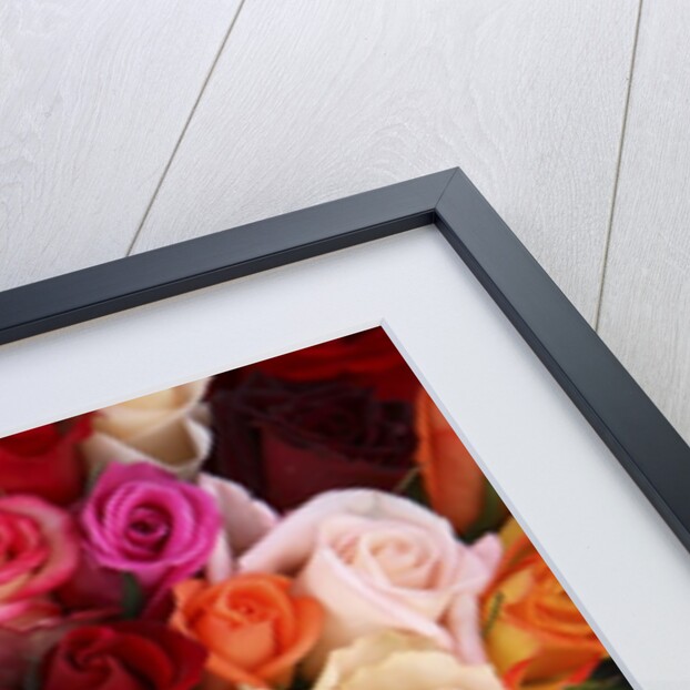 Roses for Sale at Flower Market by Anonymous