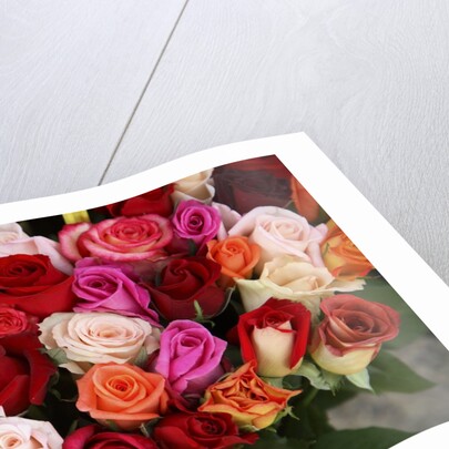 Roses for Sale at Flower Market by Anonymous