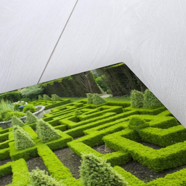 Knot Garden by Anonymous