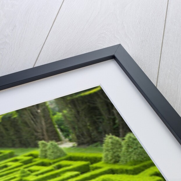 Knot Garden by Anonymous