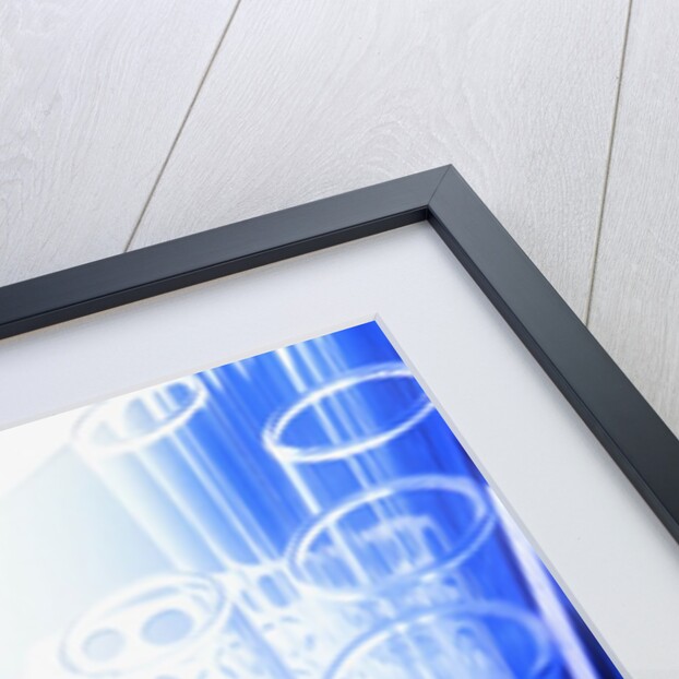 Test Tubes in Tray by Anonymous