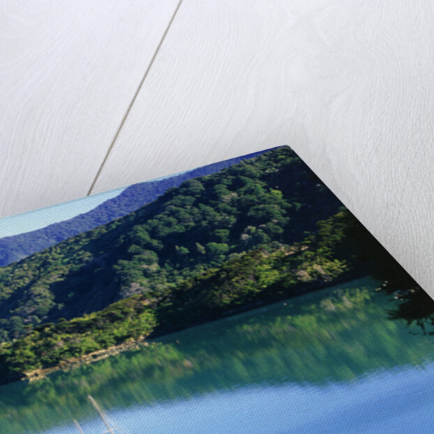 Marlborough Sound in New Zealand by Anonymous