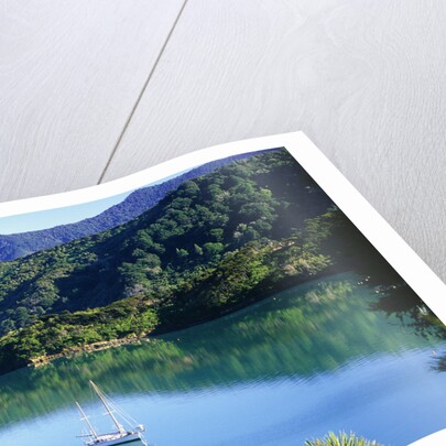 Marlborough Sound in New Zealand by Anonymous