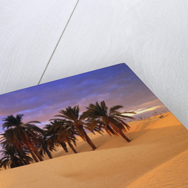 Sahara Desert in Tunisia by Anonymous
