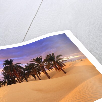 Sahara Desert in Tunisia by Anonymous