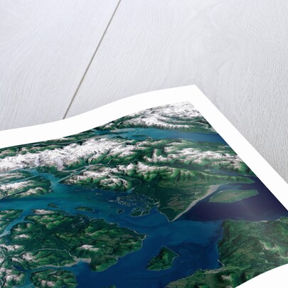 Glaciers Melting into Glacier Bay by Anonymous