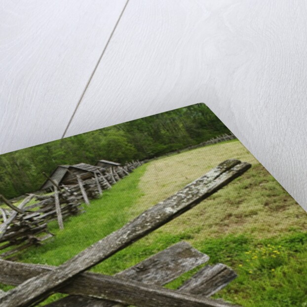 Pioneer Homestead Exhibit at Great Smoky Mountains National Park by Anonymous