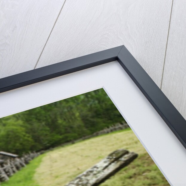 Pioneer Homestead Exhibit at Great Smoky Mountains National Park by Anonymous