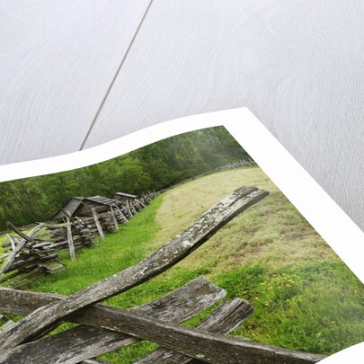 Pioneer Homestead Exhibit at Great Smoky Mountains National Park by Anonymous