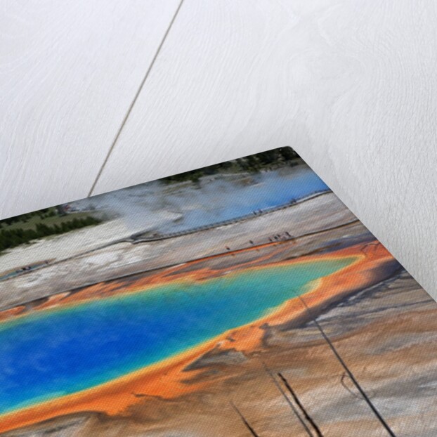 Grand Prismatic Spring by Anonymous