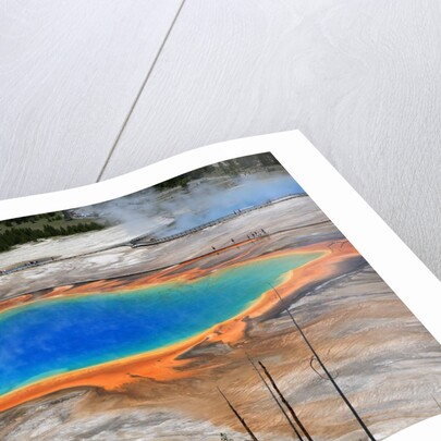 Grand Prismatic Spring by Anonymous