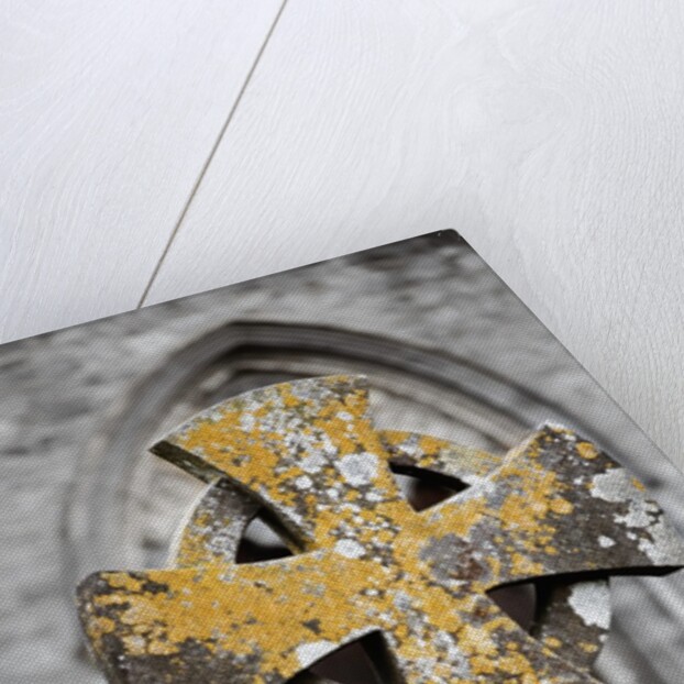 Stone Cross at St. Canice's Cathedral by Anonymous