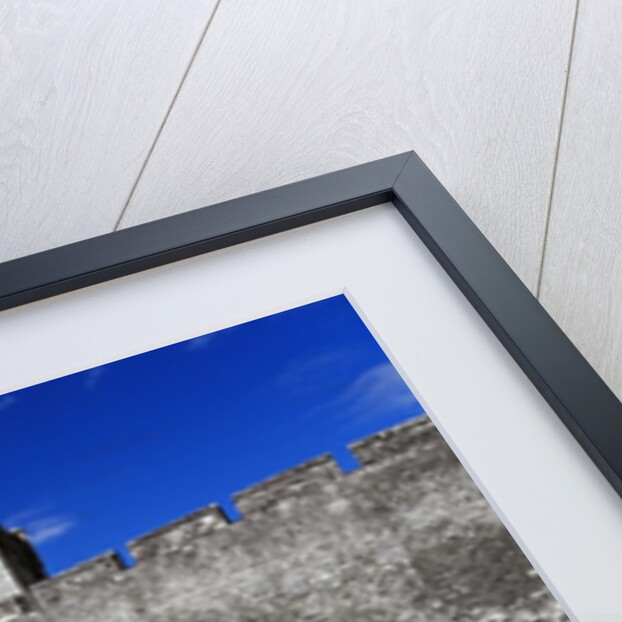 Cahir Castle by Anonymous