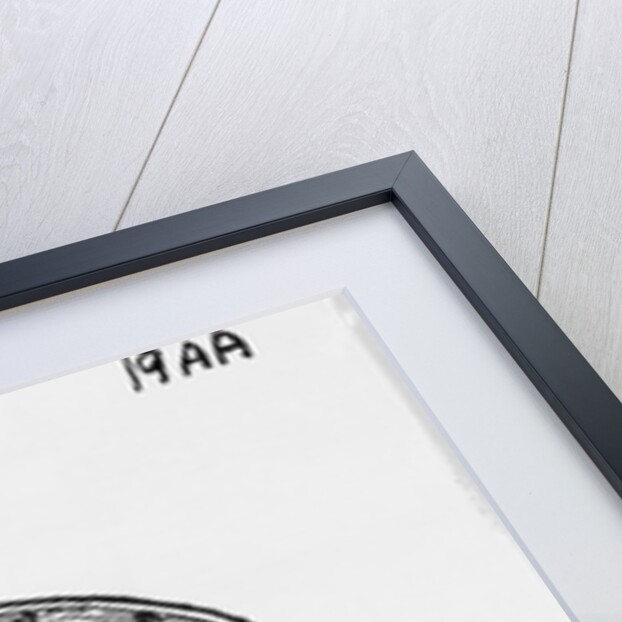 Mechanical Duck by Anonymous