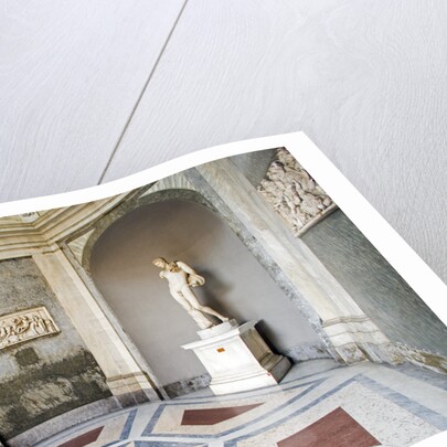 Vatican Museums by Anonymous