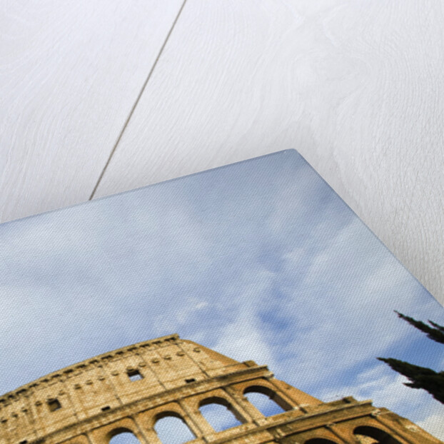 The Colosseum by Anonymous