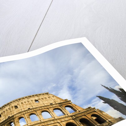 The Colosseum by Anonymous