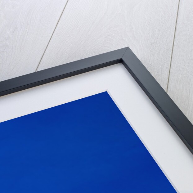 The Colosseum by Anonymous