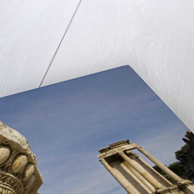Roman Forum by Anonymous