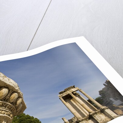 Roman Forum by Anonymous