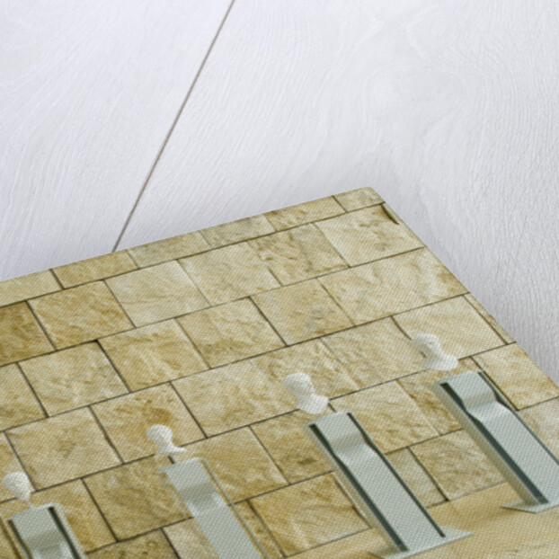 Ara Pacis Augustae by Anonymous