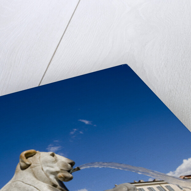 Piazza del Popolo by Anonymous