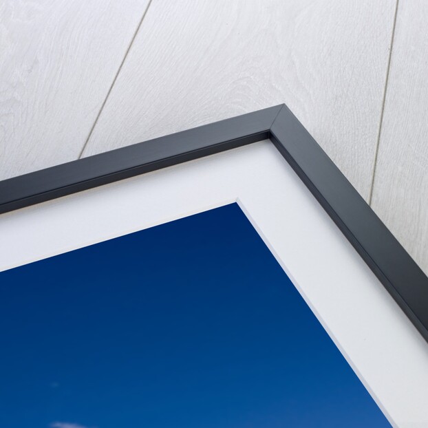 Piazza del Popolo by Anonymous