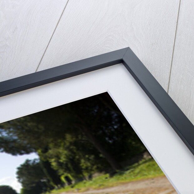 Via Appia by Anonymous