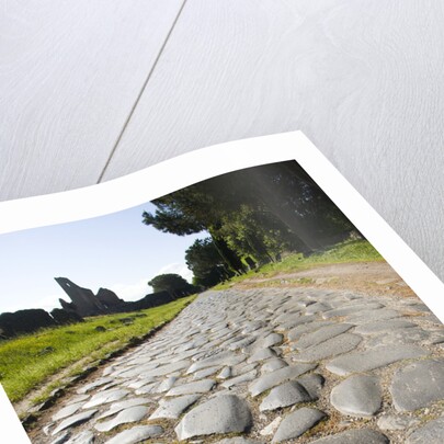 Via Appia by Anonymous