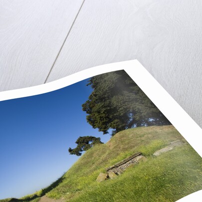 Via Appia by Anonymous