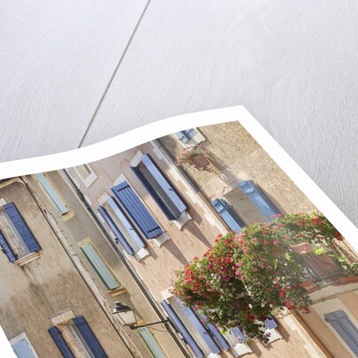 Geraniums on Balcony in St.-Saturnin-les-Apt by Anonymous