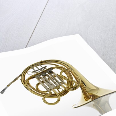 French Horn by Anonymous