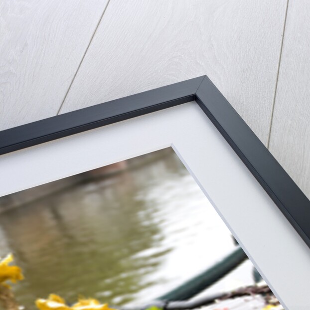 Bicycle with Flowers Beside a Canal by Anonymous