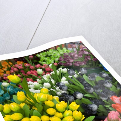 Tulips for Sale at the Bloemenmarkt by Anonymous