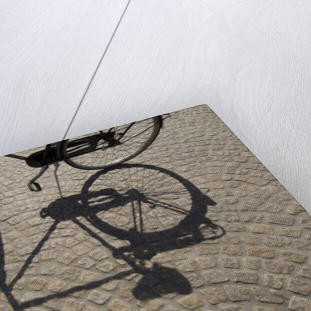 Bicycle Shadow on Cobblestone by Anonymous