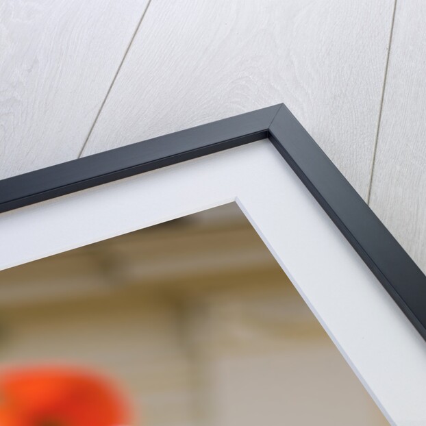 Old Bicycle and Flowers by Anonymous