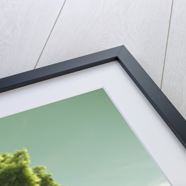 Tree in a Field by Anonymous