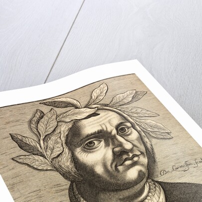 Portrait of Jacopo Sannazaro by Anonymous
