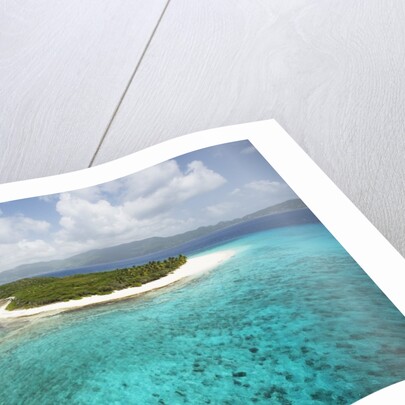 Green Cay in British Virgin Islands by Anonymous