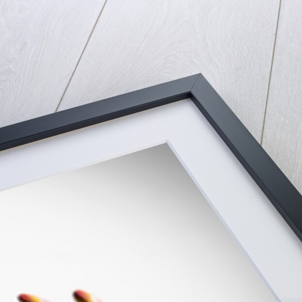 Crocosmia Flower by Anonymous