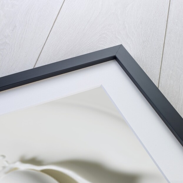 Egg splashing in milk by Anonymous