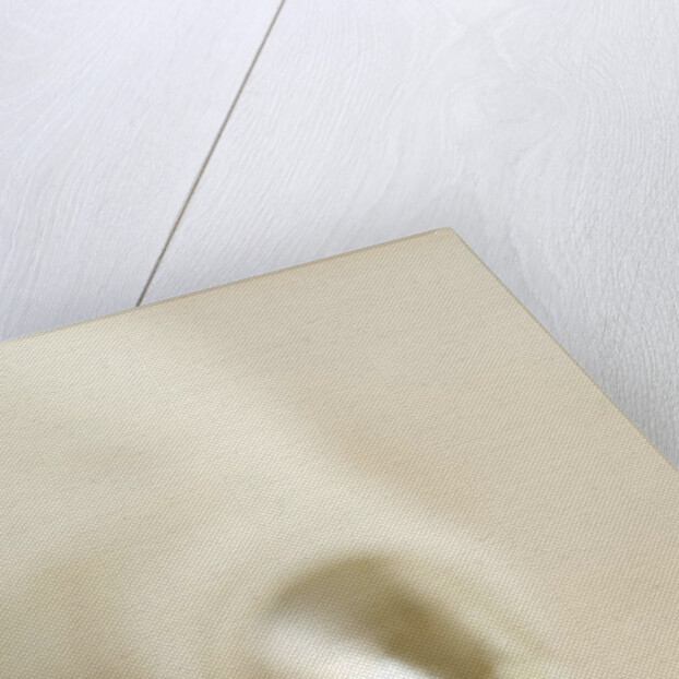 Piping Bag and Custard by Anonymous