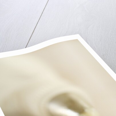 Piping Bag and Custard by Anonymous