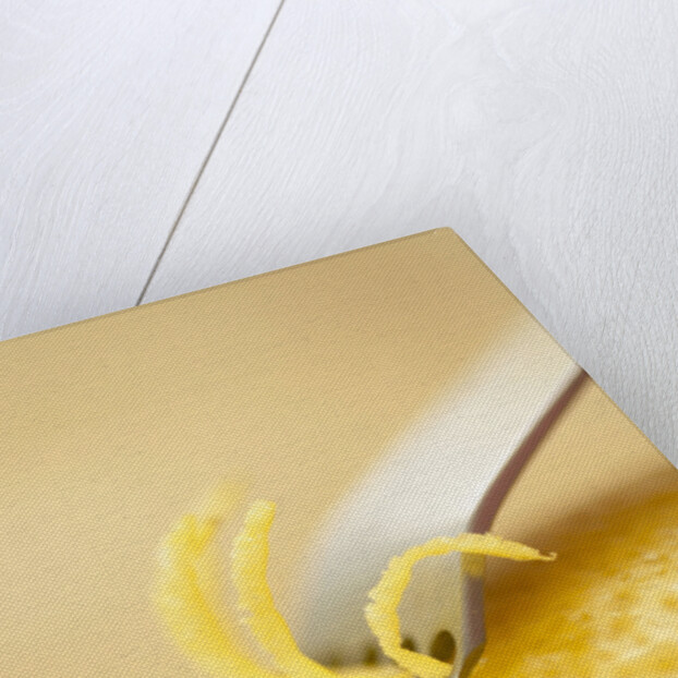 Lemon Zester on Lemon by Anonymous