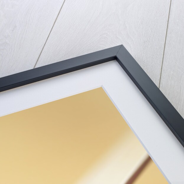 Lemon Zester on Lemon by Anonymous