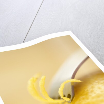 Lemon Zester on Lemon by Anonymous