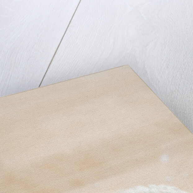 Flour on Wooden Spoon by Anonymous