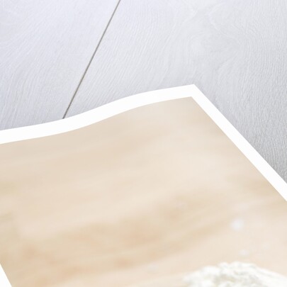 Flour on Wooden Spoon by Anonymous