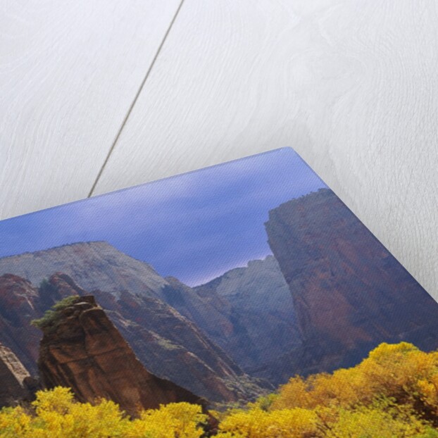 Zion National Park by Anonymous