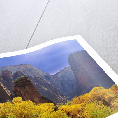 Zion National Park by Anonymous